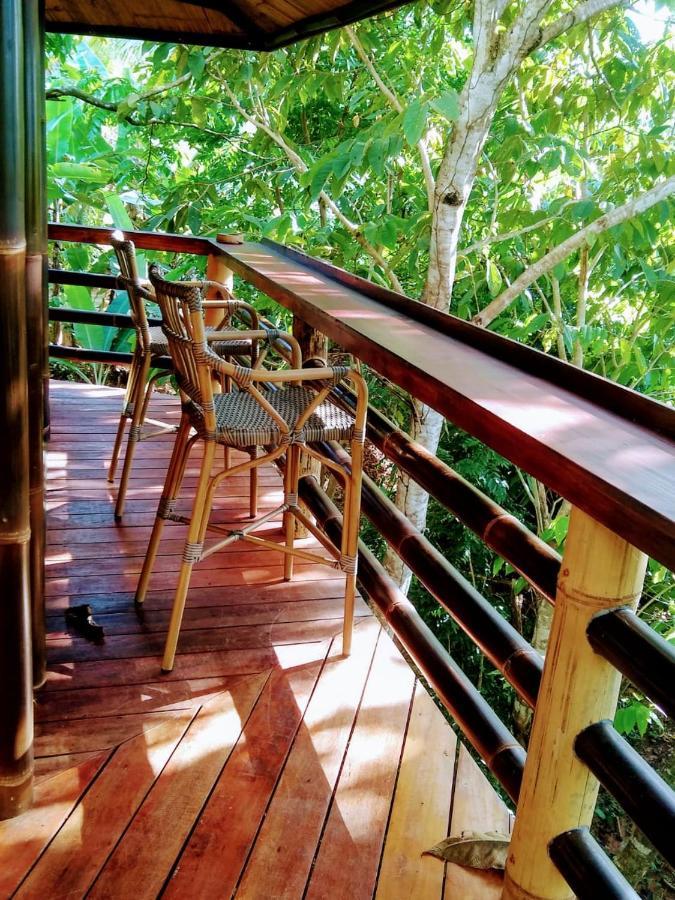 הוילה פאבונס Treehouse Pilon Pavones מראה חיצוני תמונה
