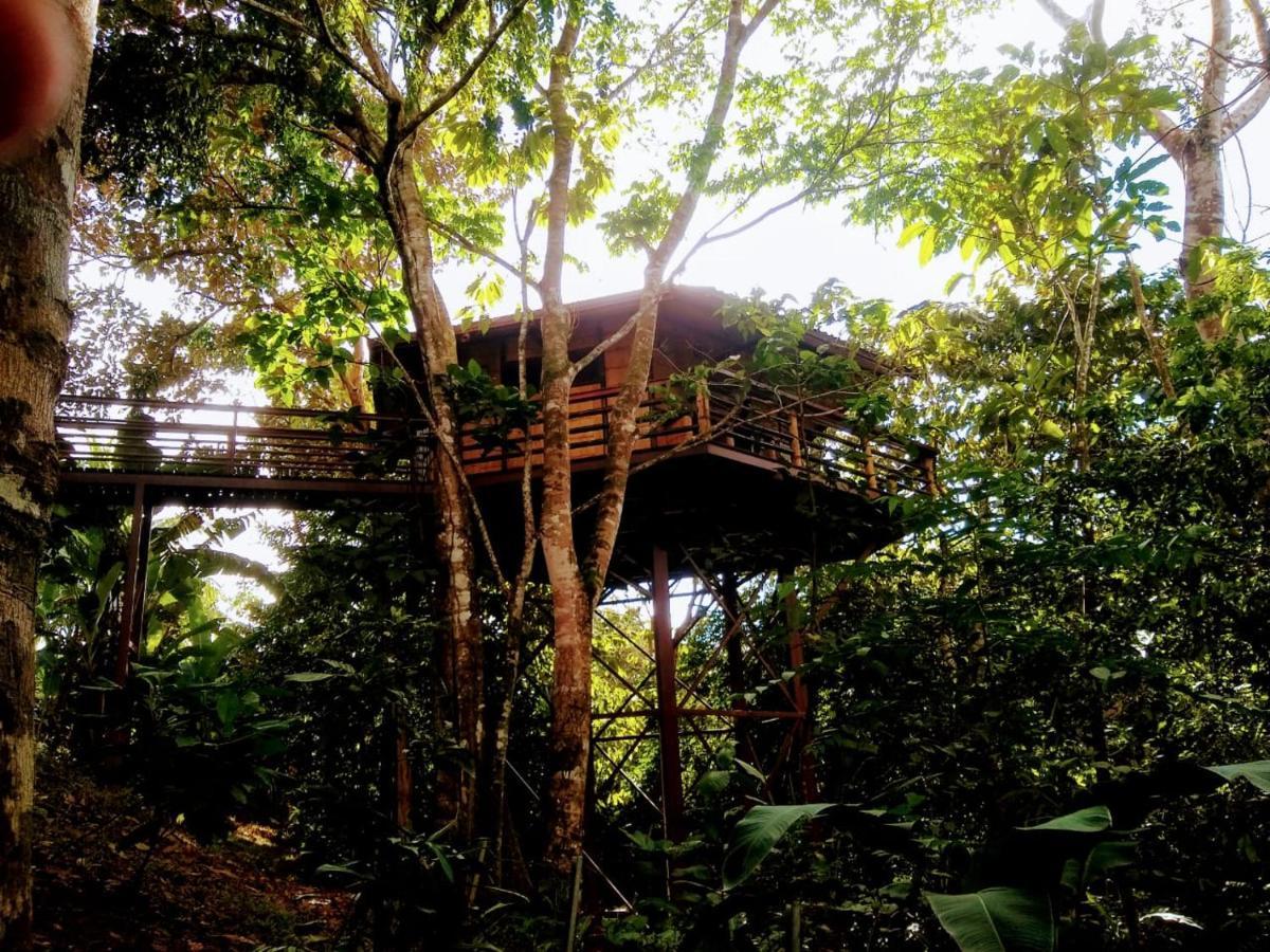 הוילה פאבונס Treehouse Pilon Pavones מראה חיצוני תמונה