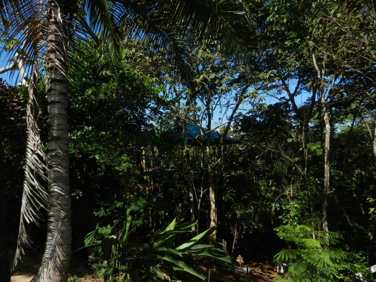הוילה פאבונס Treehouse Pilon Pavones מראה חיצוני תמונה
