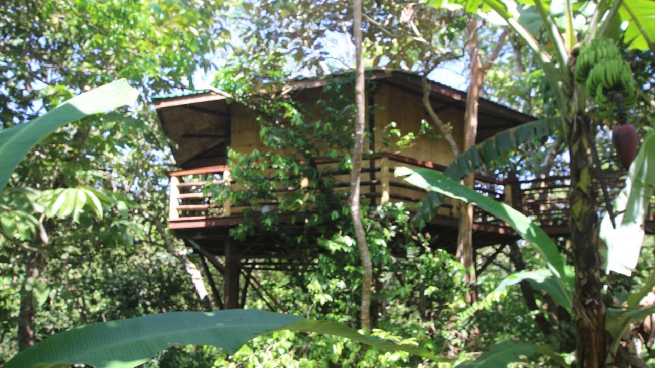 הוילה פאבונס Treehouse Pilon Pavones מראה חיצוני תמונה