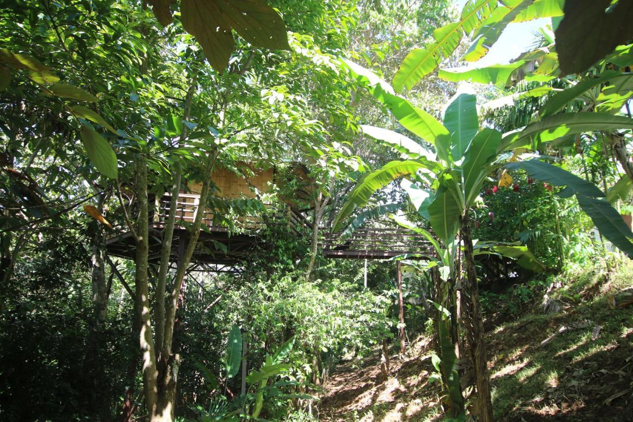 הוילה פאבונס Treehouse Pilon Pavones מראה חיצוני תמונה