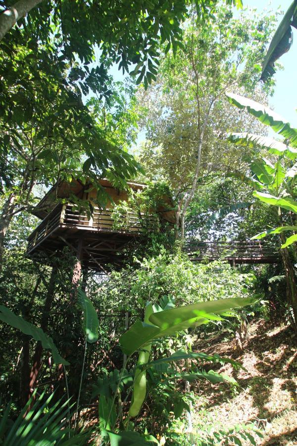 הוילה פאבונס Treehouse Pilon Pavones מראה חיצוני תמונה