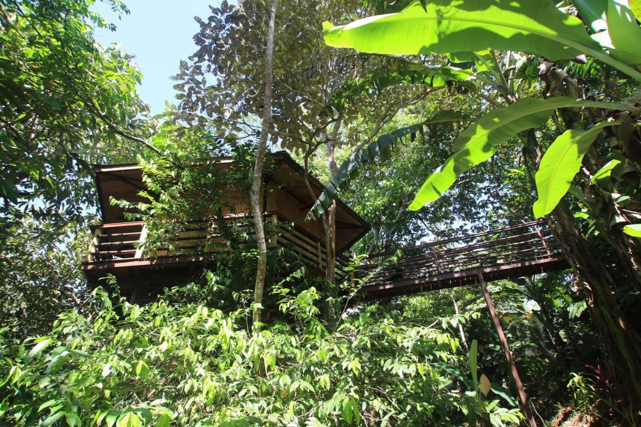 הוילה פאבונס Treehouse Pilon Pavones מראה חיצוני תמונה