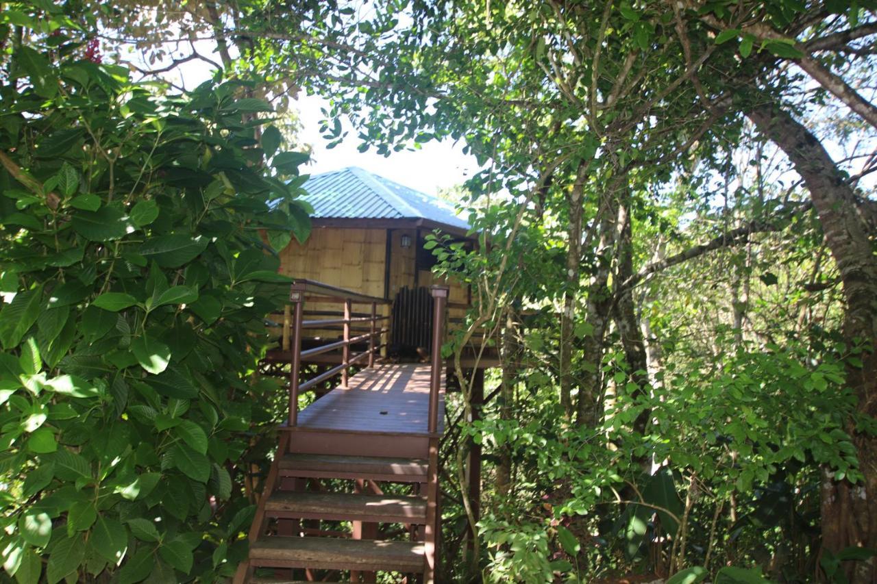 הוילה פאבונס Treehouse Pilon Pavones מראה חיצוני תמונה