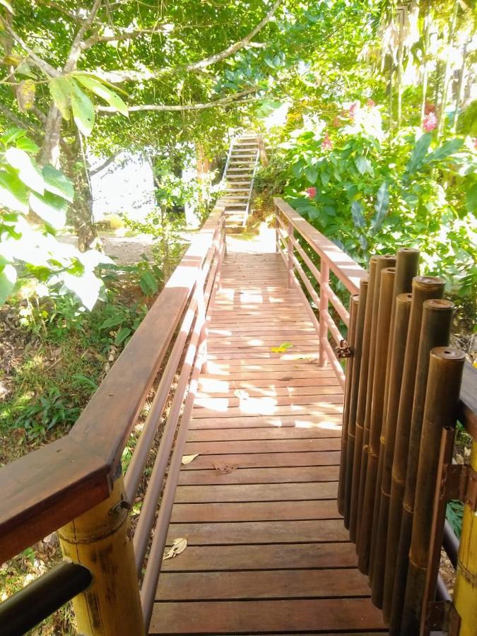 הוילה פאבונס Treehouse Pilon Pavones מראה חיצוני תמונה