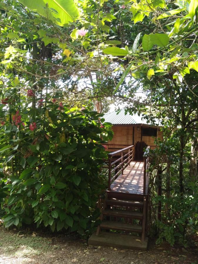 הוילה פאבונס Treehouse Pilon Pavones מראה חיצוני תמונה