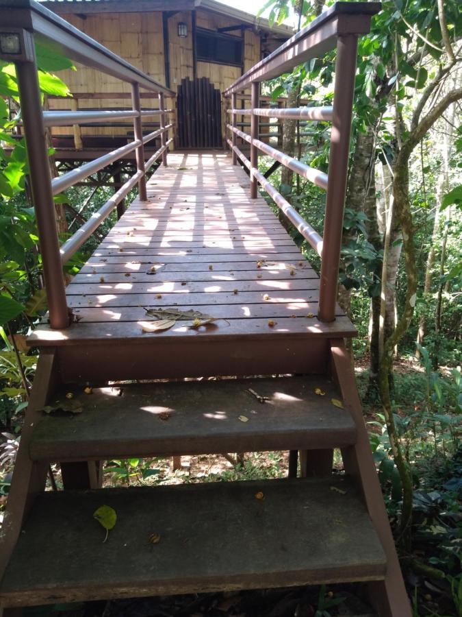 הוילה פאבונס Treehouse Pilon Pavones מראה חיצוני תמונה