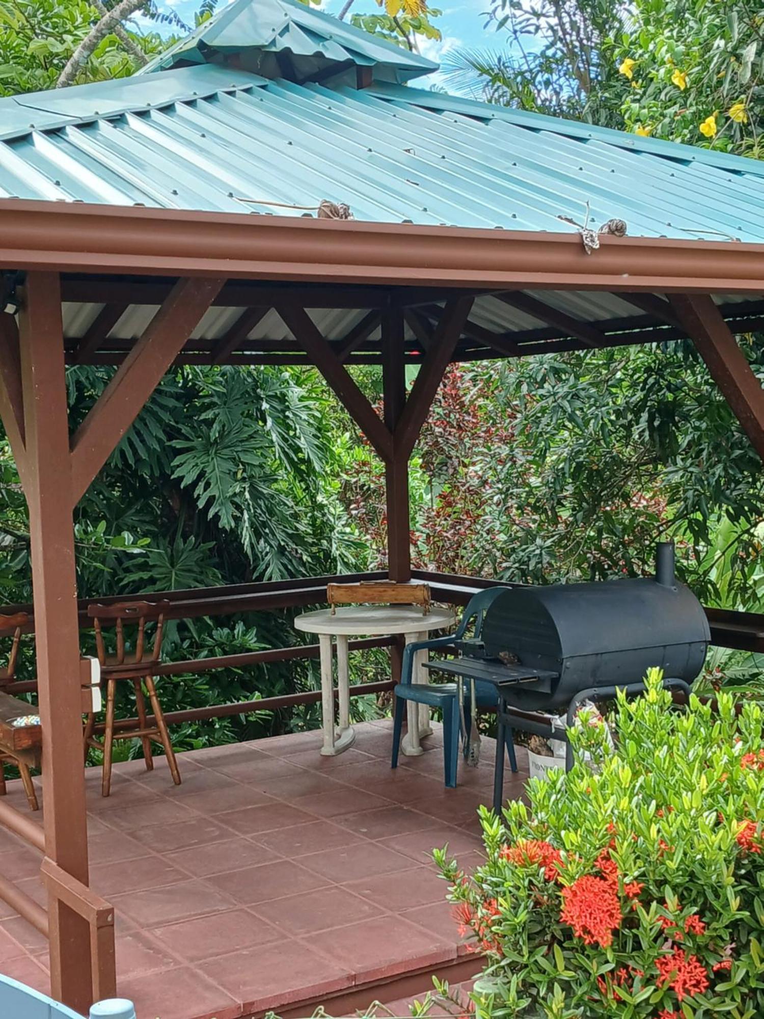 הוילה פאבונס Treehouse Pilon Pavones מראה חיצוני תמונה